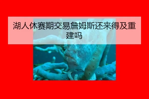 hu-ren-xiu-sai-qi-jiao-yi-zhan-mu-si-hai-lai-de-ji-chong-jian-ma-2-238.jpg